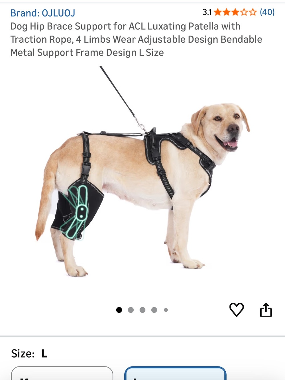 Dog Hip Brace Support with Mint Trim - L